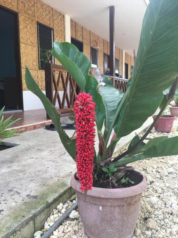 Panglao Rainbow Inn Tagbilaran City Luaran gambar